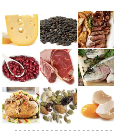 Protein Is For More Than Body Building