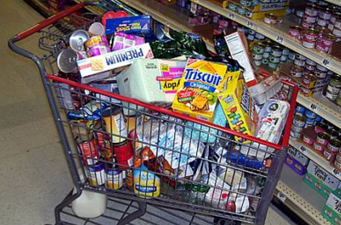 kill junk food cravings