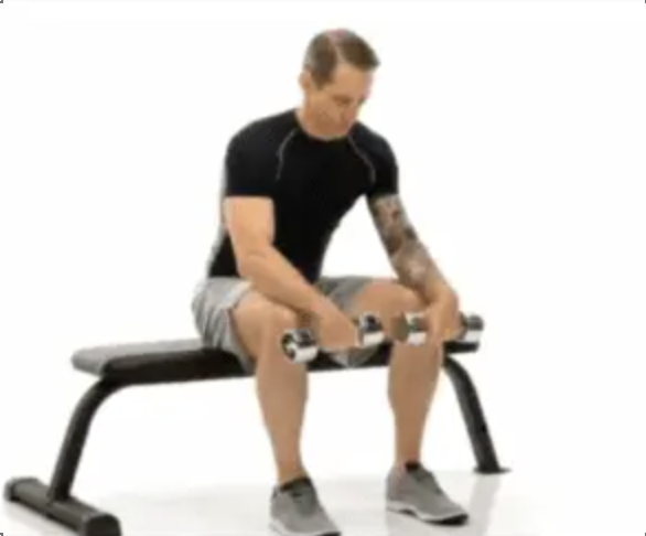 Forearm Workout – The Forgotten Muscle Group